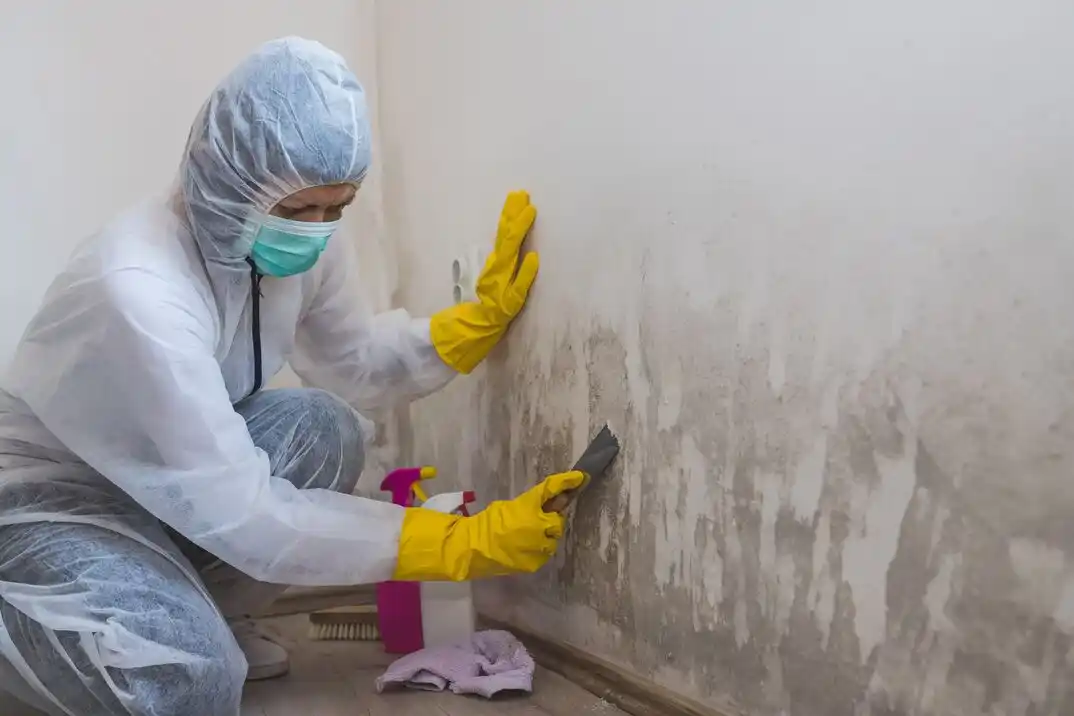 water damage restoration service Lomas Del Sur